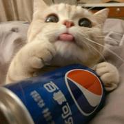 夜曦875的个人资料头像