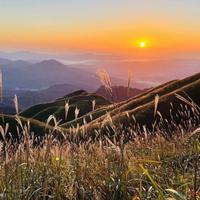 随风逐流xly头像