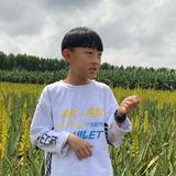 海边的龙5k1t头像