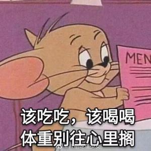 快乐一只松鼠头像