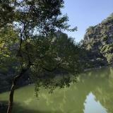 大爷6001头像