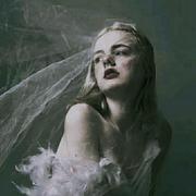 用户8541925025461的个人资料头像