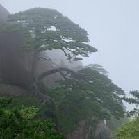 叫什么好也呢头像