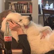 Ixecd的个人资料头像