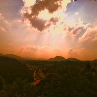 皮老板在线头像