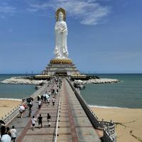 鸭鸭爱雅雅头像