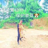 六六头像