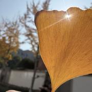 舒婷972的个人资料头像