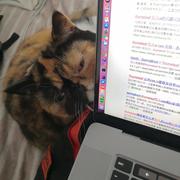 bo丶的个人资料头像