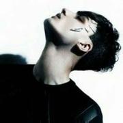 渔火的个人资料头像