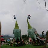 FCY51019841987200820头像