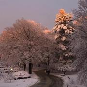 PeterCheney的个人资料头像