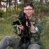 黄古山庄羊教练头像