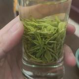 上善文刀头像
