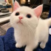 小颜450的个人资料头像