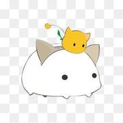 小杨写代码的个人资料头像