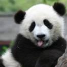 懒得起名爱学习的个人资料头像
