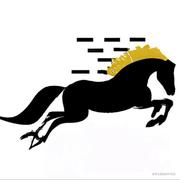 黑马腾飞的个人资料头像