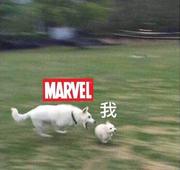 Brightroar的个人资料头像