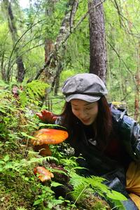 叶桃桃川西象雄扎嘎捡菌版头像