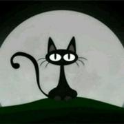 无名377的个人资料头像