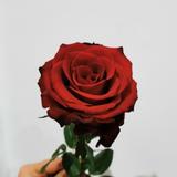 简约花坊头像