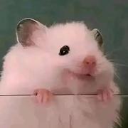 空蝉213的个人资料头像