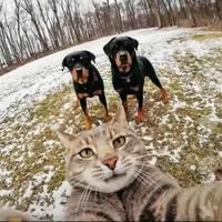 温柔星辰FSQ头像