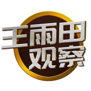 王雨田观察