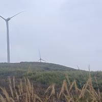 21款手尊新用户头像