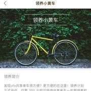 紫蝴蝶的个人资料头像
