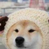 公孙蛋疼头像