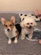 姓钱的的个人资料头像