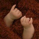 成成君109898的个人资料头像