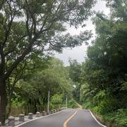 逐风者177的个人资料头像