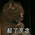 懒猫玩猫头像