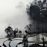 用户39186239698头像