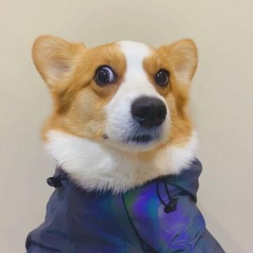 听心情r头像
