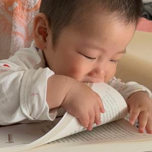 视野克莱尔1z6头像