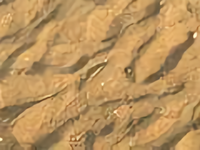 吃饱没事做吹风头像