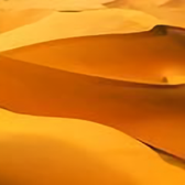 用户9163332109017头像