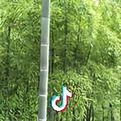 腾飞头像
