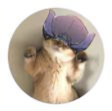 LeeKo头像