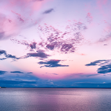 荒野独行之老狼头像