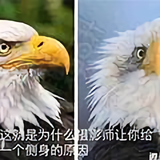 Mikozhong头像