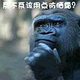 爱思考的老李头像