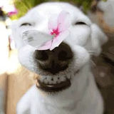 13393760573头像