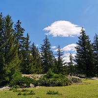 朱书权48006191头像