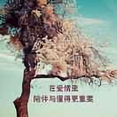 安安静静395头像