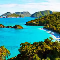 CC直播小陈头像